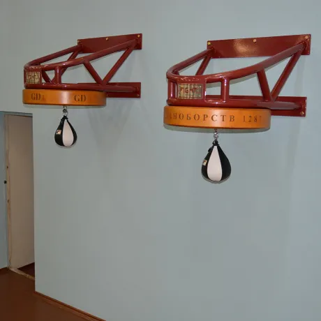 Эксклюзивные FightTech платформы speed bag SBPS7 - Фото 3