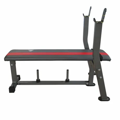 Силовая скамья со стойками DFC D307E - Фото 3