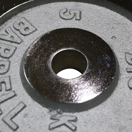 Диск хромированный DFC, 26 мм, 2,5 кг WP031-26-2,5 - Фото 2